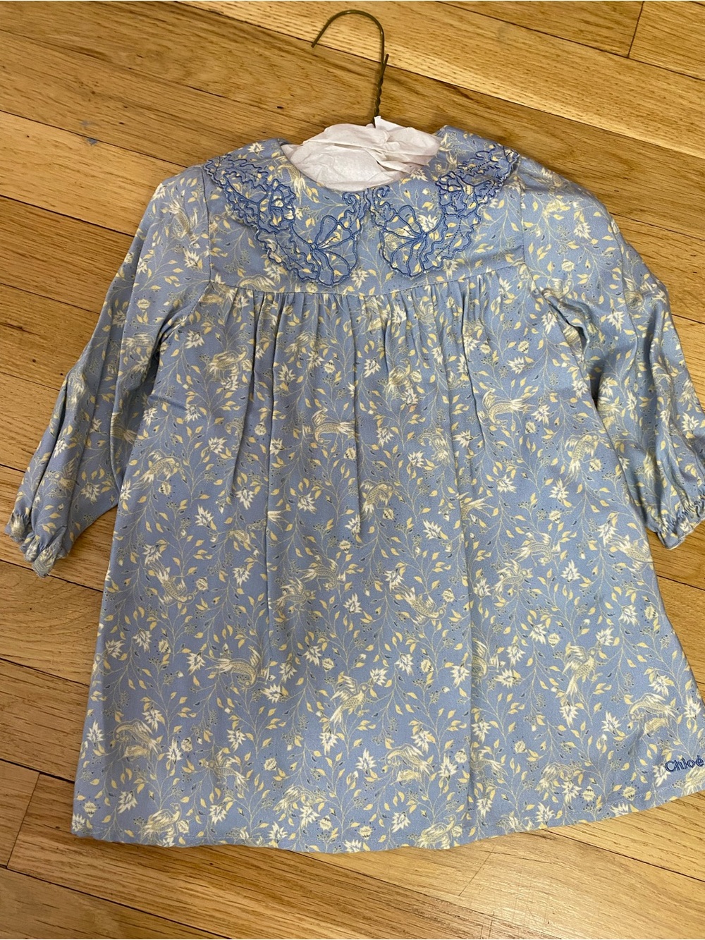 Chloe’ Blue Floral Long-Sleeve Girls' Dress Top
